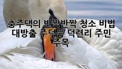 충주댁의 ✨반짝반짝✨ 청소 비법 대방출! 주덕읍 덕련리 주민 주목!