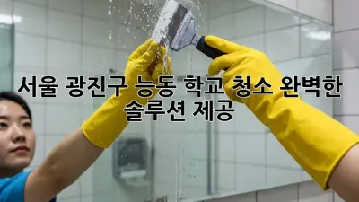서울 광진구 능동 학교 청소: 완벽한 솔루션 제공